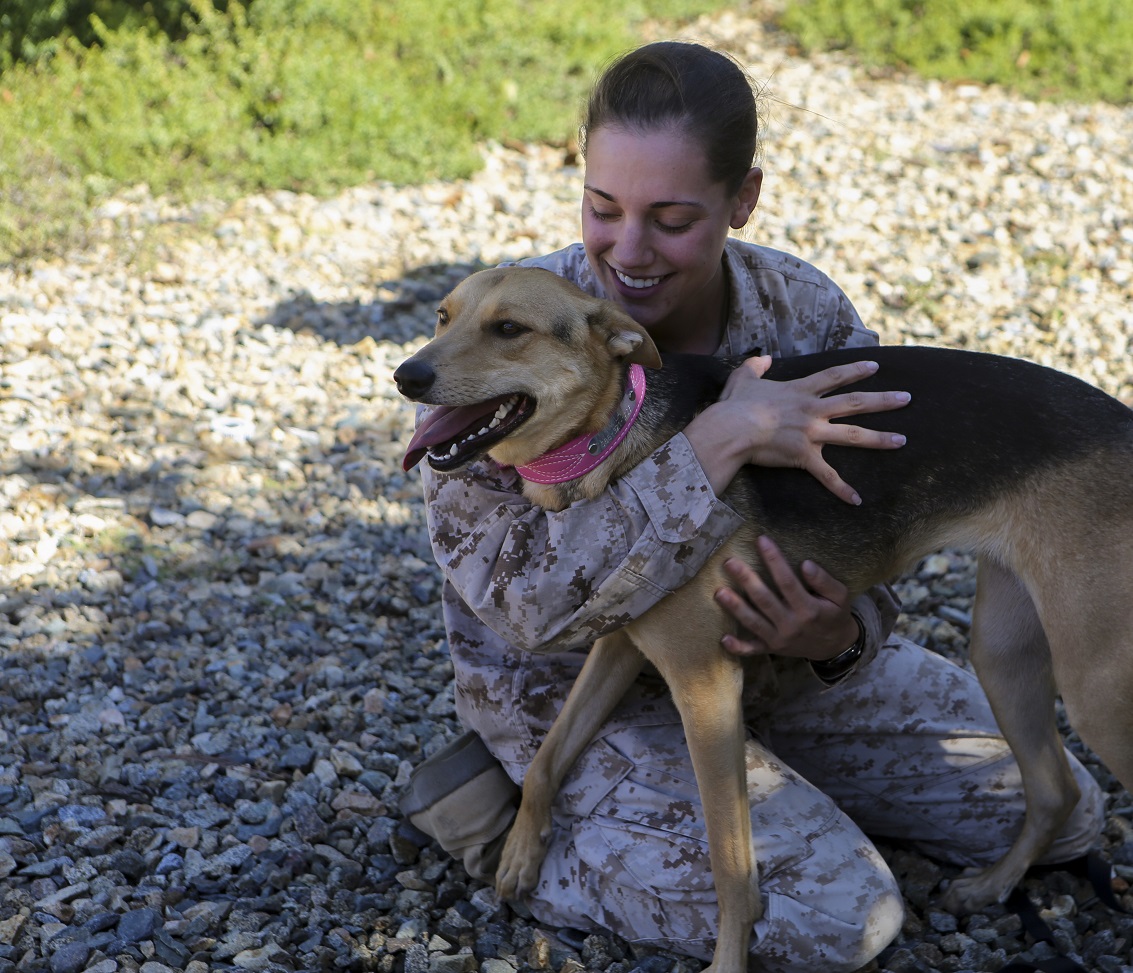 Cpl. Brittany L. Garrison, a special intelligence administrator, is greeted by her companion after returning from deployment. Garrison returned to Marine Corps Base Camp Pendleton, Calif., Oct. 6, 2015, after serving with the Special-Purpose Marine Air-Ground Task Force Crisis Response-Central Command for approximately six months.