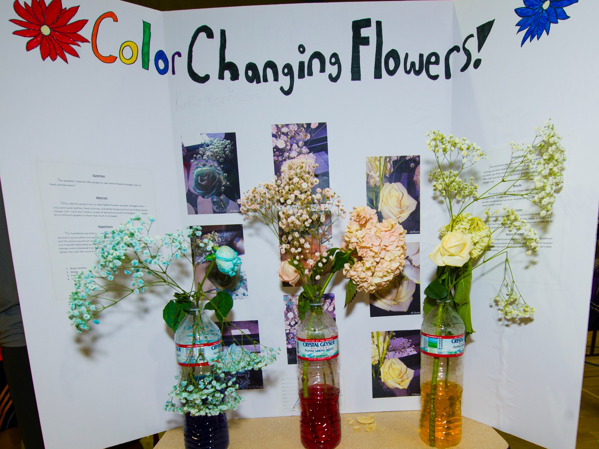 A science experiment explains how to change the colors of flowers using food coloring at Holloman Middle School’s Science Fair, Oct. 7. Students did experiments of their own and displayed their science projects in the school’s gym. Units from Holloman also came to the Science Fair to show children the technology that is used to accomplish various missions at Holloman. (U.S. Air Force photo by Airman 1st Class Emily A. Kenney)        