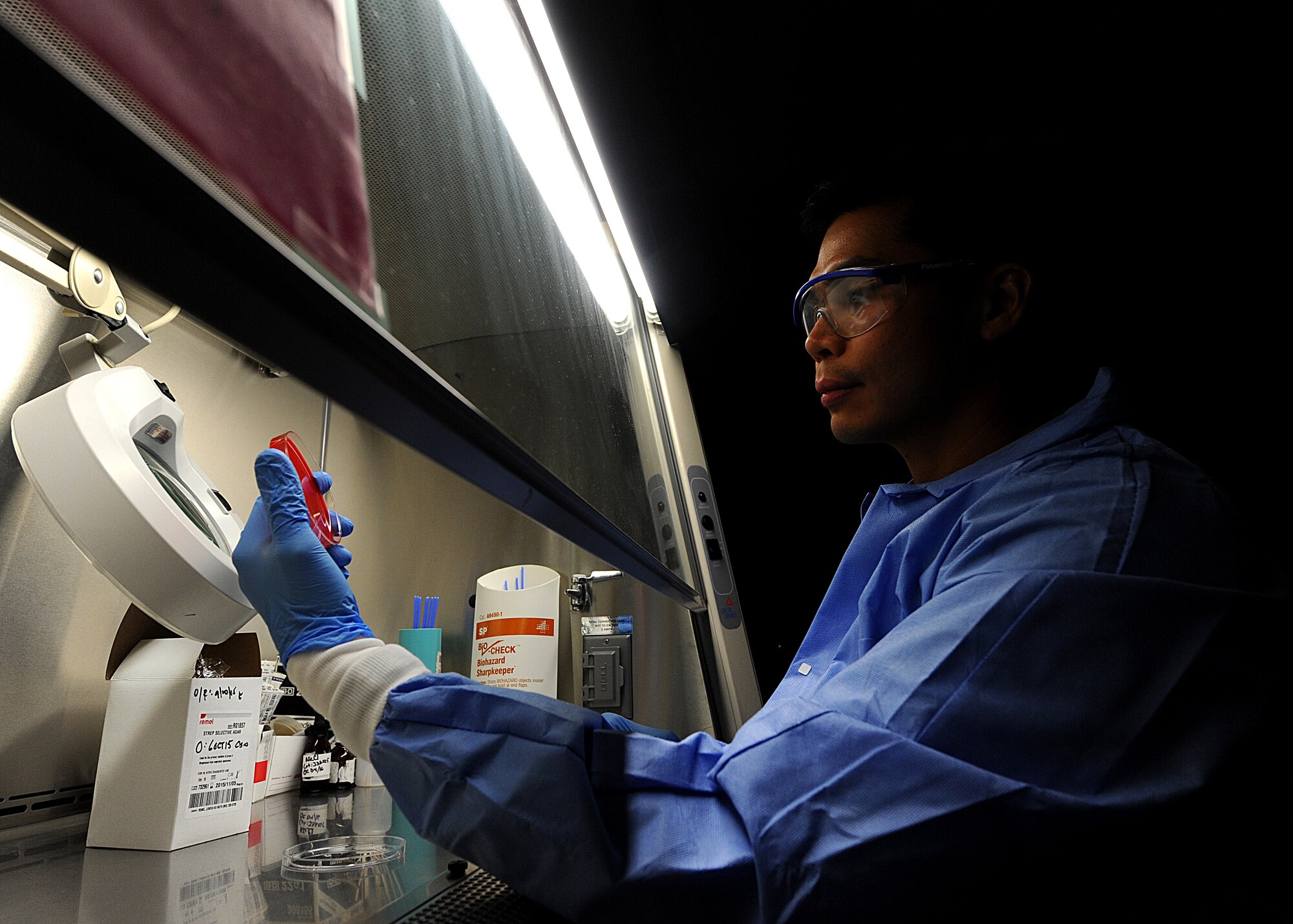 Tech. Sgt. Elmer Mendoza, 319th Medical Support Squadron clinical laboratory NCO-in-charge, reads a bacterial plate Oct. 8, 2015, on Grand Forks Air Force Base, North Dakota. Mendoza was selected as the Warrior of the Week for the third week of October 2015. (U.S. Air Force photo by Airman 1st Class Ryan Sparks/Released)