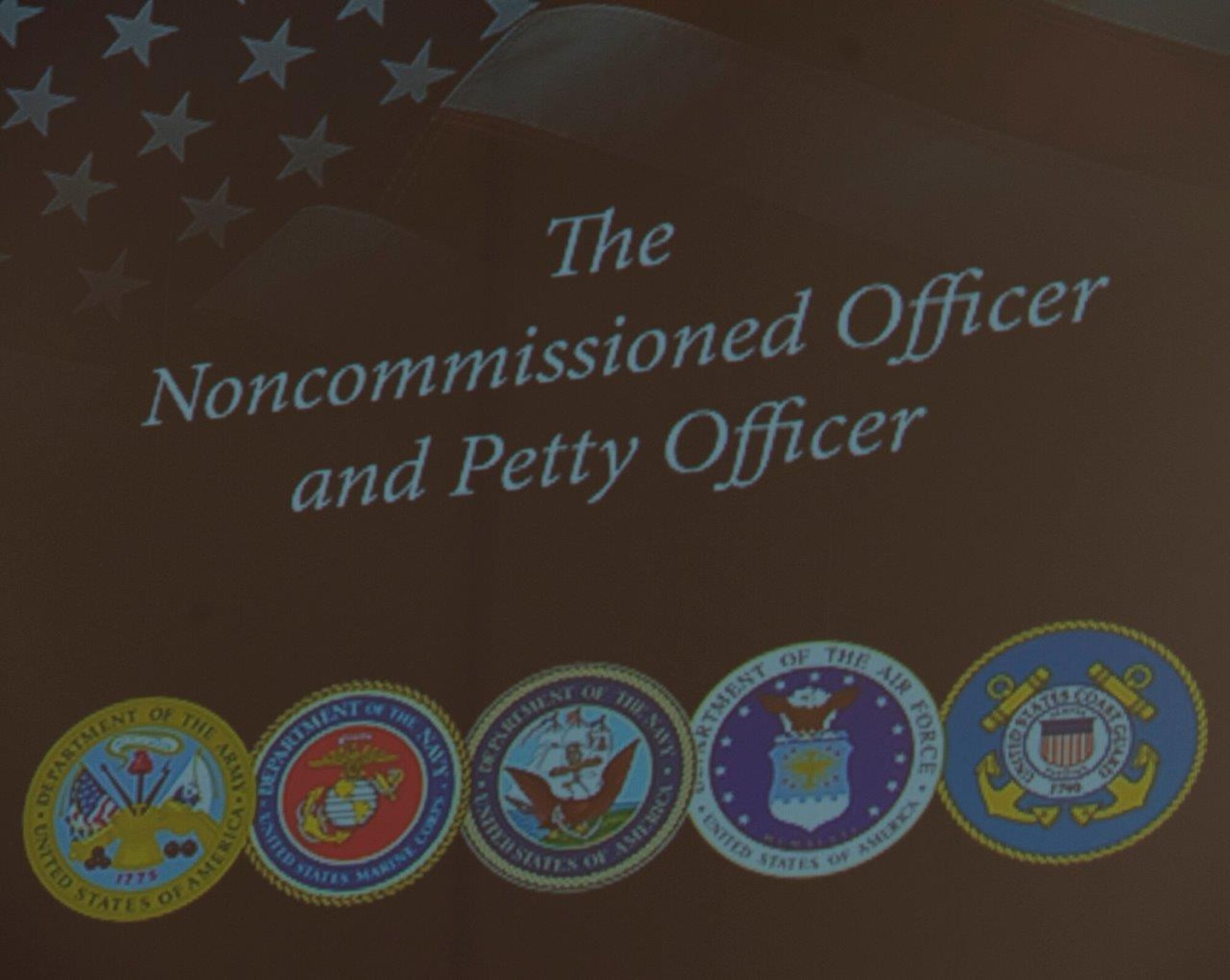 The cover of the book “Noncommissioned Officer and Petty Officer: Backbone of the Armed Forces,” is displayed on a screen inside the Coalition Compound Theater at Al Udeid Air Base, Qatar Oct. 8, 2015 during an Enlisted All-Call hosted by Sgt. Maj. Bryan Battaglia, Senior Enlisted Advisor to the Chairman of the Joint Chiefs of Staff. The book, Battaglia said, is one-of-a-kind and provides a comprehensive explanation of what’s expected of enlisted leaders across America’s armed services. During his presentation, Battaglia covered numerous topics including professional development, joint missions and the Department of Defense’s bi-annual award review. He also recognized 10 service members for excellent performance. (U.S. Air Force Photo/Tech. Sgt. James Hodgman)
