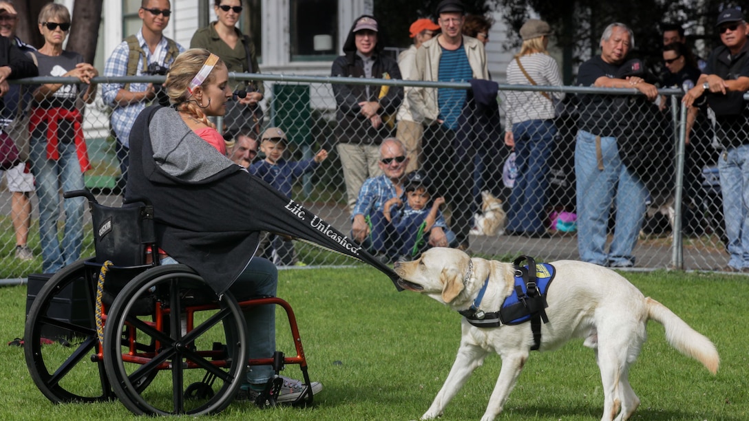 Oz Robinson, an apprentice instructor with canine companions, demonstrates the different capabilities of their trained service dogs during the Bark at the Park event Oct. 10, as part of San Francisco Fleet Week 2015. SFFW 15’ is a week-long event that blends a unique training and education program, bringing together key civilian emergency responders and Naval crisis-response forces to exchange best practices on humanitarian assistance disaster relief with particular emphasis on defense support to civil authorities.