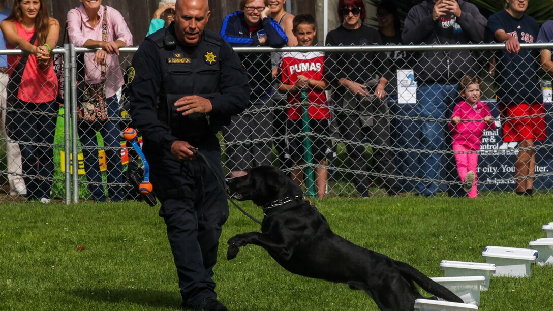 The San Francisco Sheriff’s Department demonstrates their dogs ability to search and locate bomb components and drugs during the Bark at the Park event Oct. 10, as part of San Francisco Fleet Week 2015. SFFW 15’ is a week-long event that blends a unique training and education program, bringing together key civilian emergency responders and Naval crisis-response forces to exchange best practices on humanitarian assistance disaster relief with particular emphasis on defense support to civil authorities.