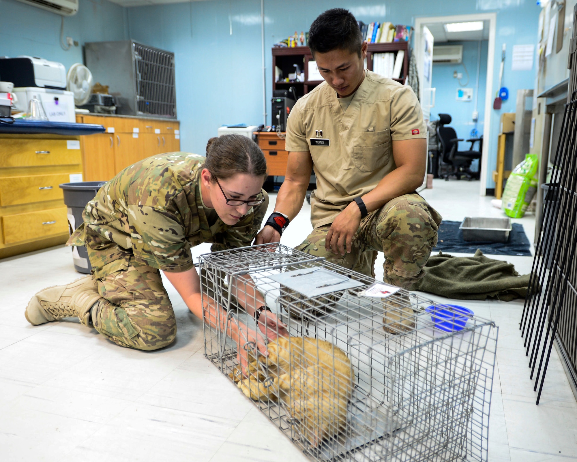 U.S. Army Private 1st Class Chelsey Therault, 463rd Military Detachment Veterinary Service veterinary technician, and Capt. Raymond Wong, 463rd MDVS veterinary officer in charge, place a stray cat into a cage at an undisclosed location in Southwest Asia, Sept. 28, 2015. The 463rd MDVS uses a Trap, Neuter, Vaccinate and Return program for stray cats to ensure wellness in the base stray animal populace. (U.S. Air Force photo by Senior Airman Racheal E. Watson/Released)