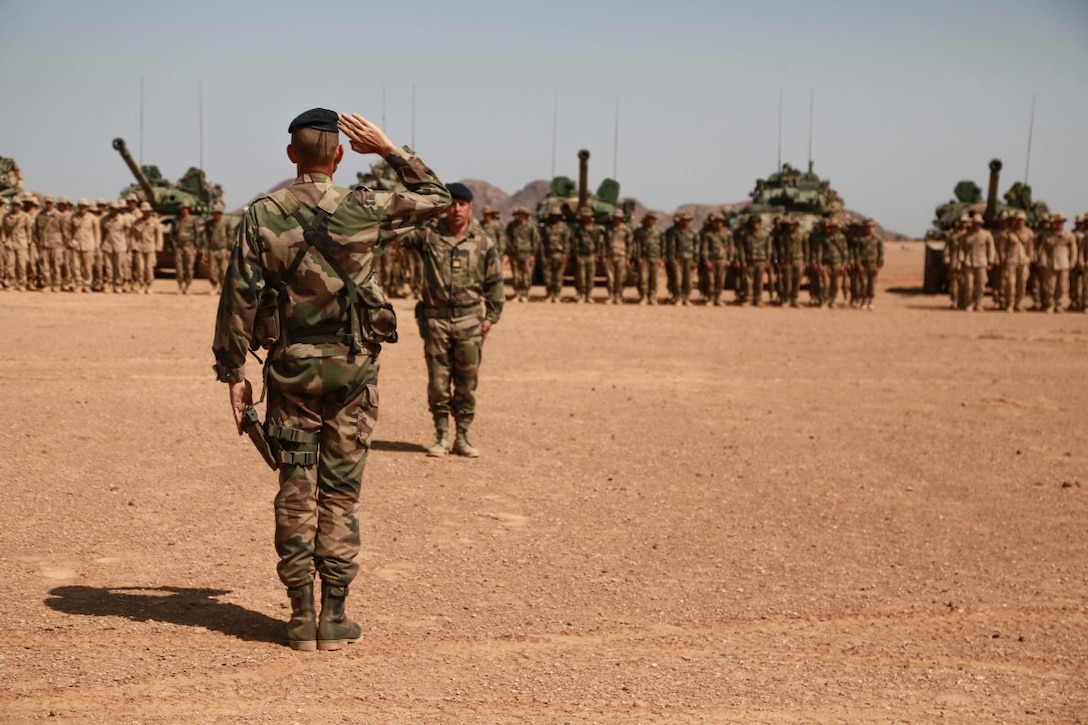 ARTA TRAINING RANGE, Djibouti (Oct. 7, 2015) U.S. Marines with the 15th Marine Expeditionary Unit and soldiers with the French 5th Overseas Combined Arms Regiment (RIAOM) stand in formation during the desert survival and tactics course pinning ceremony. Elements of the 15th MEU trained with the 5th RIAOM in Djibouti from Sept. 21 to Oct. 7 in order to improve interoperability between the MEU and the French military. (U.S. Marine Corps photo by Sgt. Steve H. Lopez/Released)