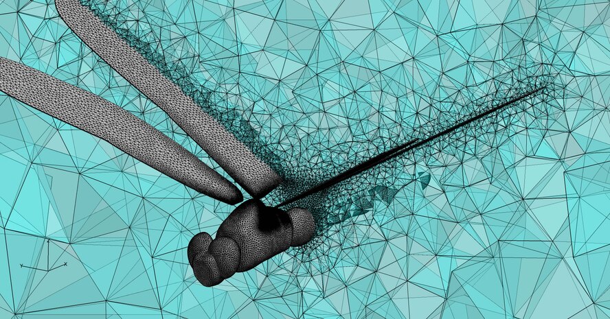 This dragonfly image is an example of a computational mesh generated with Pointwise software, used by AEDC engineer to perform computational fluid dynamics, or CFD, for a wide variety of flight conditions and physical environments. 