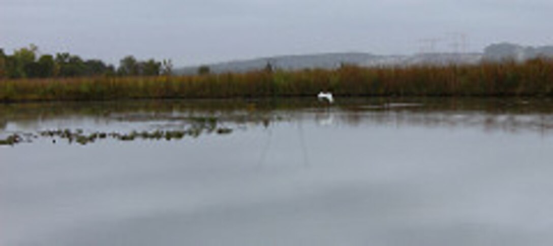 Dyke Marsh Wildlife Preserve