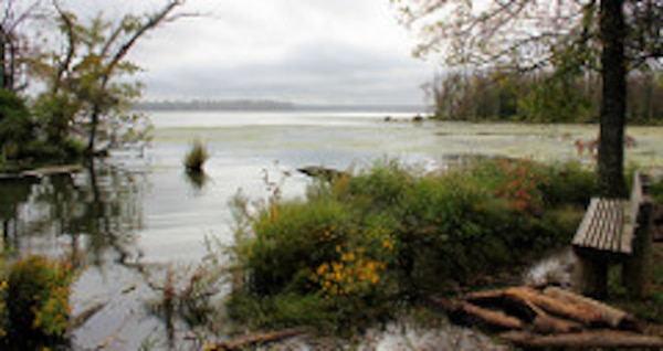 Dyke Marsh Wildlife Preserve