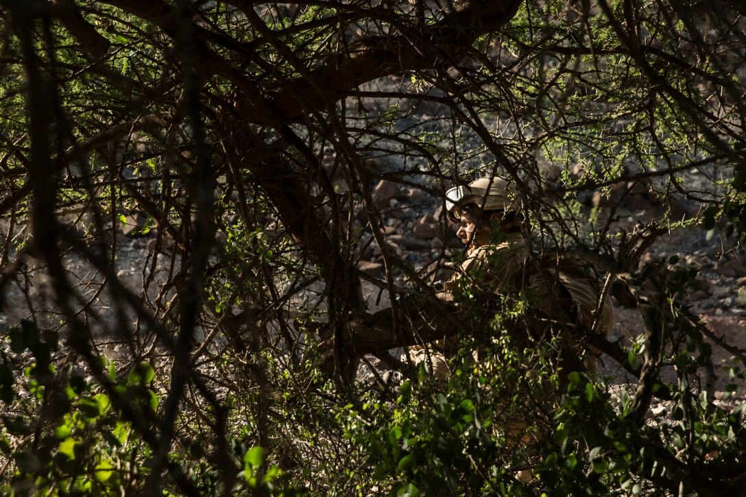 ARTA RANGE FACILITY, Djibouti (Oct. 7, 2015) A U.S. Marine, with the 15th Marine Expeditionary Unit’s Force Reconnaissance Detachment, clears a simulated enemy stronghold during a desert survival and tactics course alongside the French 5th Overseas Combined Arms Regiment (RIAOM). Elements of the 15th MEU trained with the 5th RIAOM in Djibouti in order to improve interoperability between the MEU and the French military. (U.S. Marine Corps photo by Sgt. Emmanuel Ramos/Released)