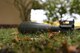 A dummy unexploded ordinance sits in the grass in front of the headquarters building at the Pittsburgh International Airport Air Reserve Station, Oct. 4, 2015. UXOs like these, as well as other props like an air gun to simulate explosions, were used to make an exercise held here feel more realistic for Airmen. (U.S. Air Force photo by Senior Airman Marjorie A. Bowlden)