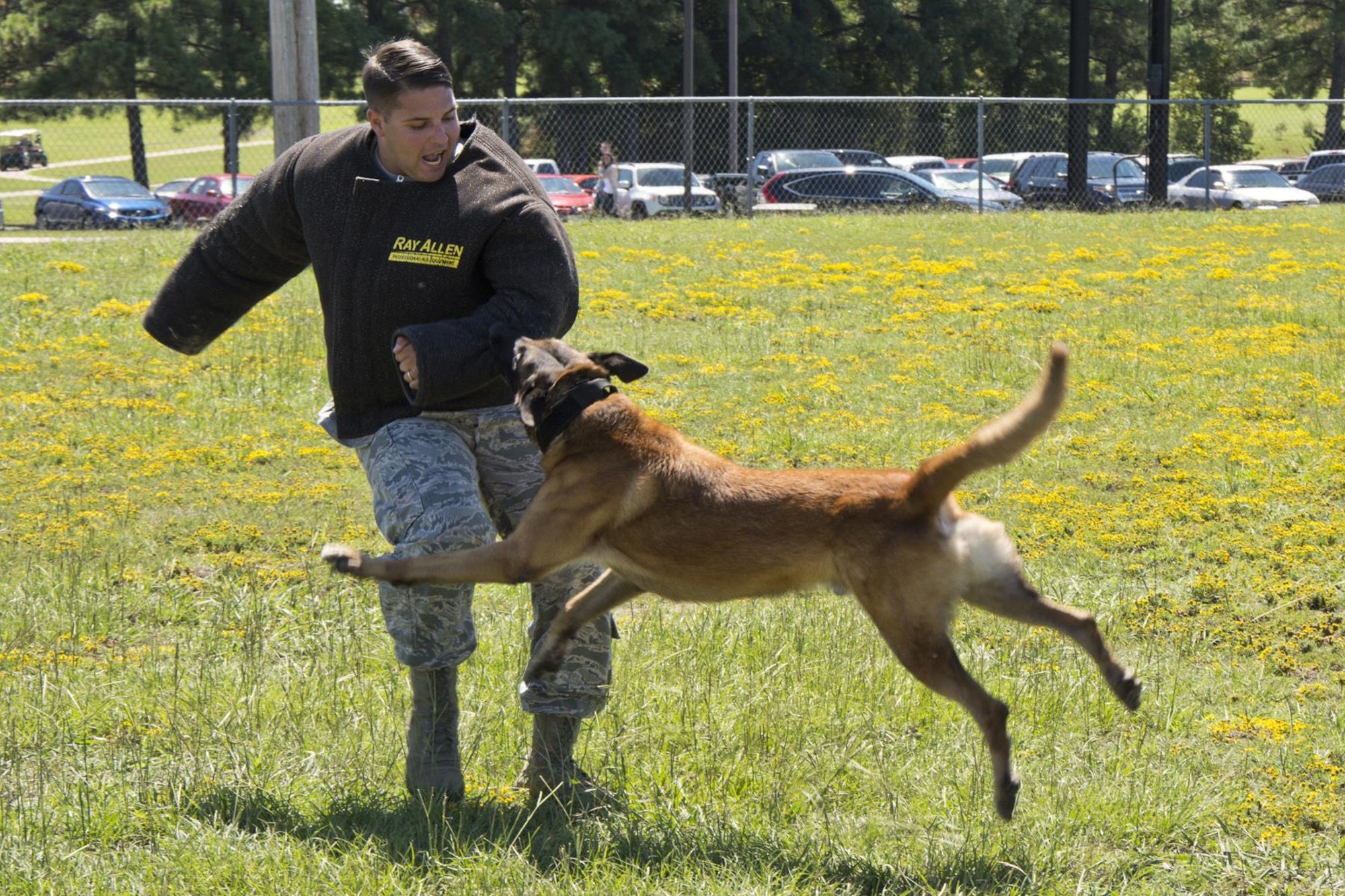 U.S. Air Force Staff Sgt. Nicholas Earl, a dog handler assigned to the 19th Security Forces Squadron, portrays a decoy target for Brit, a military working dog (K-9), during a demonstration at the 913th Airlift Group’s “Family Day” celebration at Little Rock Air Force Base, Ark., Sept. 12, 2015. Aggression training is a key factor for ensuring military working dogs are always mission ready. (Courtesy photo by Eva Walston/Released)    