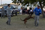 Military Working Dog Sonja attacks Senior Airman Travis Counts, 802nd Security Forces Squadron MWD handler, as her handler, Staff Sgt. Paul Olmos, 802nd SFS, watches on as part of a demonstration during National Night Out Oct. 6, 2015, at Joint Base San Antonio-Lackland, Texas. At the annual event there was also a bouncy castle, police cars, fire trucks, a Humvee, face painting station, firearms display, a station that taught how to use a taser and a station that taught children scare away attackers with a baton. (U.S. Air Force photo by Senior Airman Krystal Wright/Released)