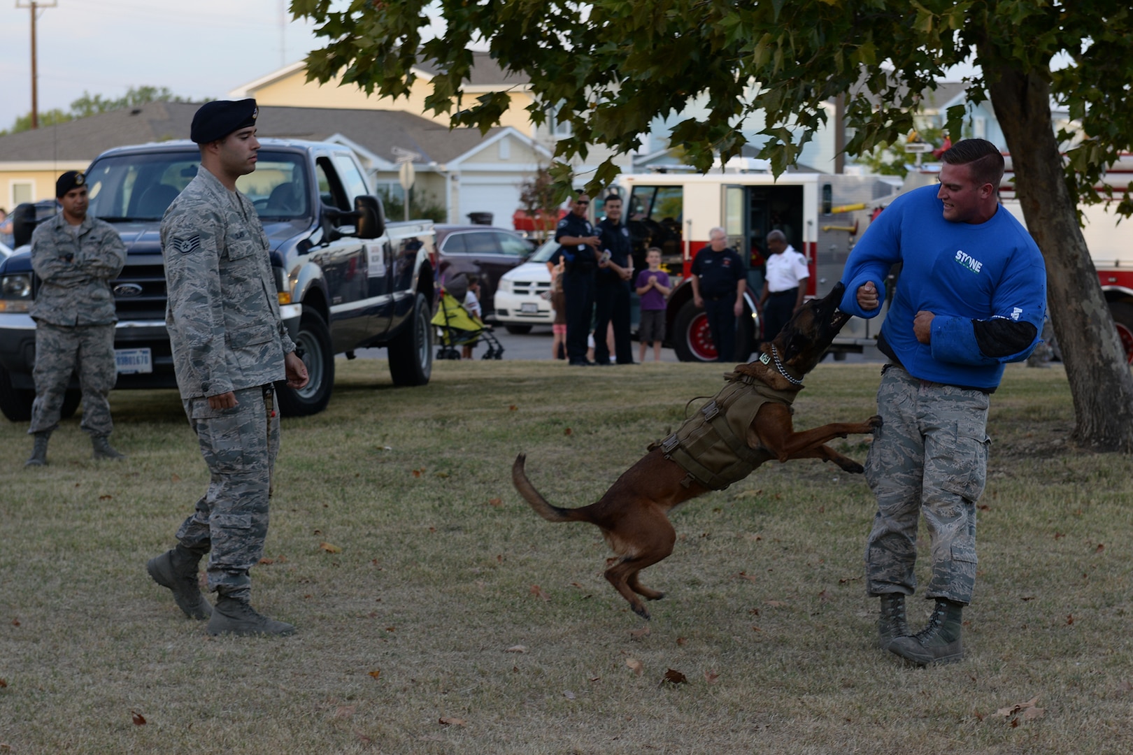 Military Working Dog Sonja attacks Senior Airman Travis Counts, 802nd Security Forces Squadron MWD handler, as her handler, Staff Sgt. Paul Olmos, 802nd SFS, watches on as part of a demonstration during National Night Out Oct. 6, 2015, at Joint Base San Antonio-Lackland, Texas. At the annual event there was also a bouncy castle, police cars, fire trucks, a Humvee, face painting station, firearms display, a station that taught how to use a taser and a station that taught children scare away attackers with a baton. (U.S. Air Force photo by Senior Airman Krystal Wright/Released)