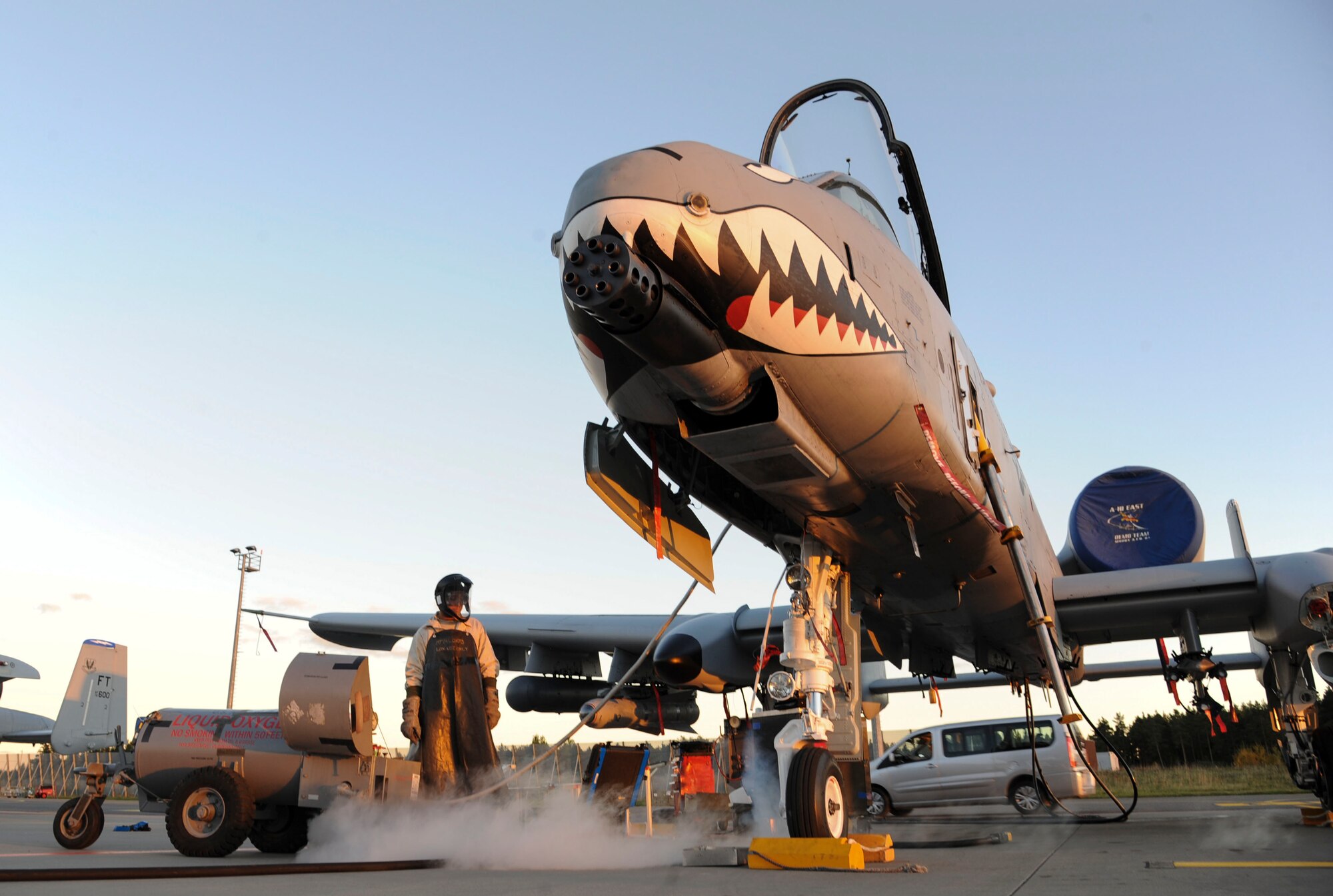 U.S. Air Force Senior Ashviel Cruz Aponte,  74th Expeditionary Fighter Squadron crew chief, services the liquid oxygen system on an A-10 Thunderbolt II attack aircraft at Amari Air Base, Estonia, Oct. 5, 2015. As a deployed crew chief, Cruz Aponte will spend the next few months working alongside NATO allies to improve interoperability. (U.S. Air Force photo by Andrea Jenkins/Released)