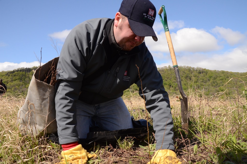Tom Lytle, engineering and construction, plants trees in Pool 8 on the Mississippi River April 20, 2012. The Corps plans to plant around 4,900 seedlings this spring.