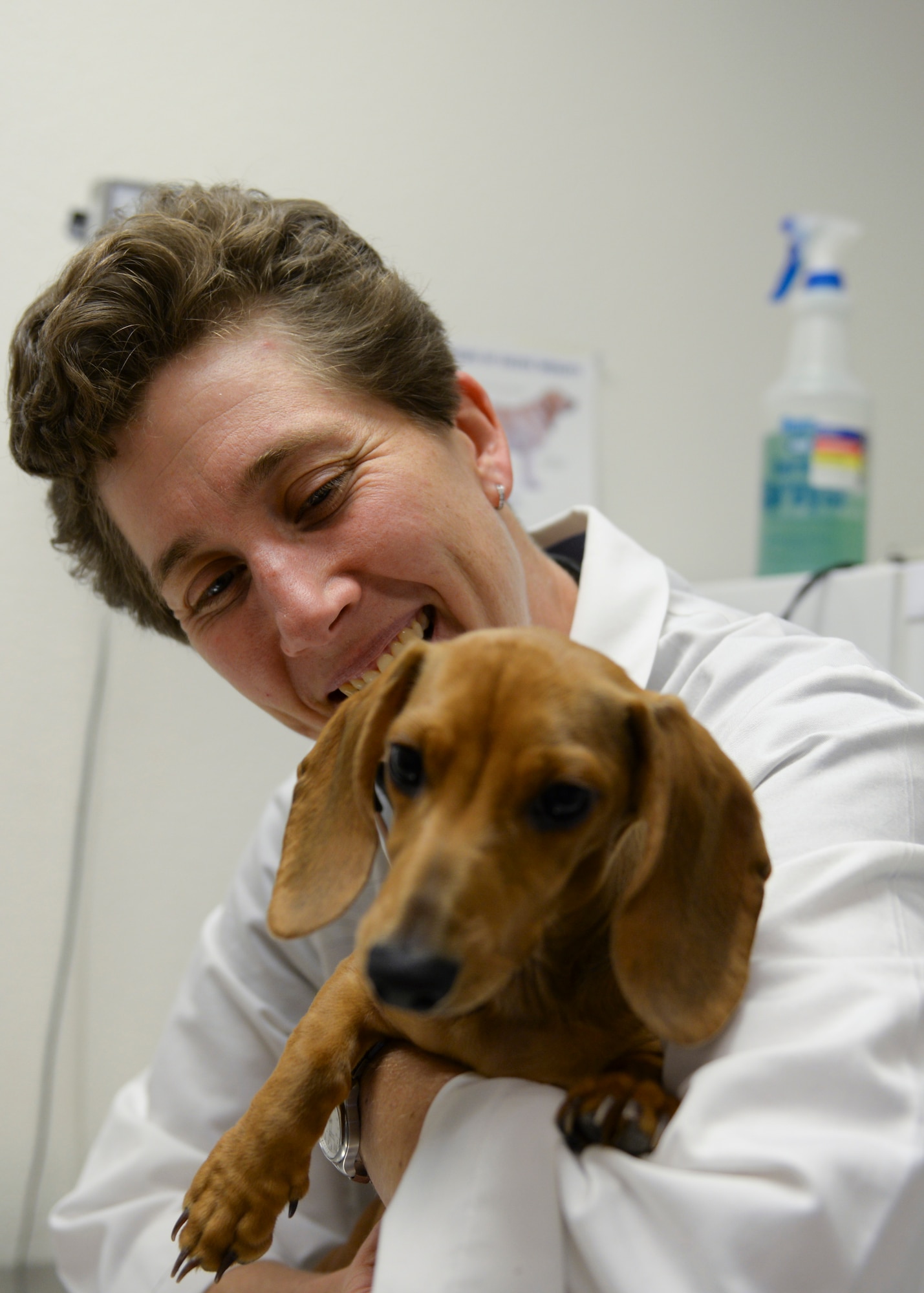 Capt. Katherine Lambden, officer in charge of the Holloman Veterinary Treatment Facility, holds Cash, a 5-month-old Dachshund, during a check-up at Holloman Air Force Base, N.M. Oct 1. Lambden graduated from Tuft University in Central Massachusetts. Lambden has a positive outlook on the future of the clinic. With an amazing staff and the wonderful clients and owners, Lambden feels like part of the Holloman community. (U.S. Air Force photo by Staff Sgt. E’Lysia A. Wray/Released)