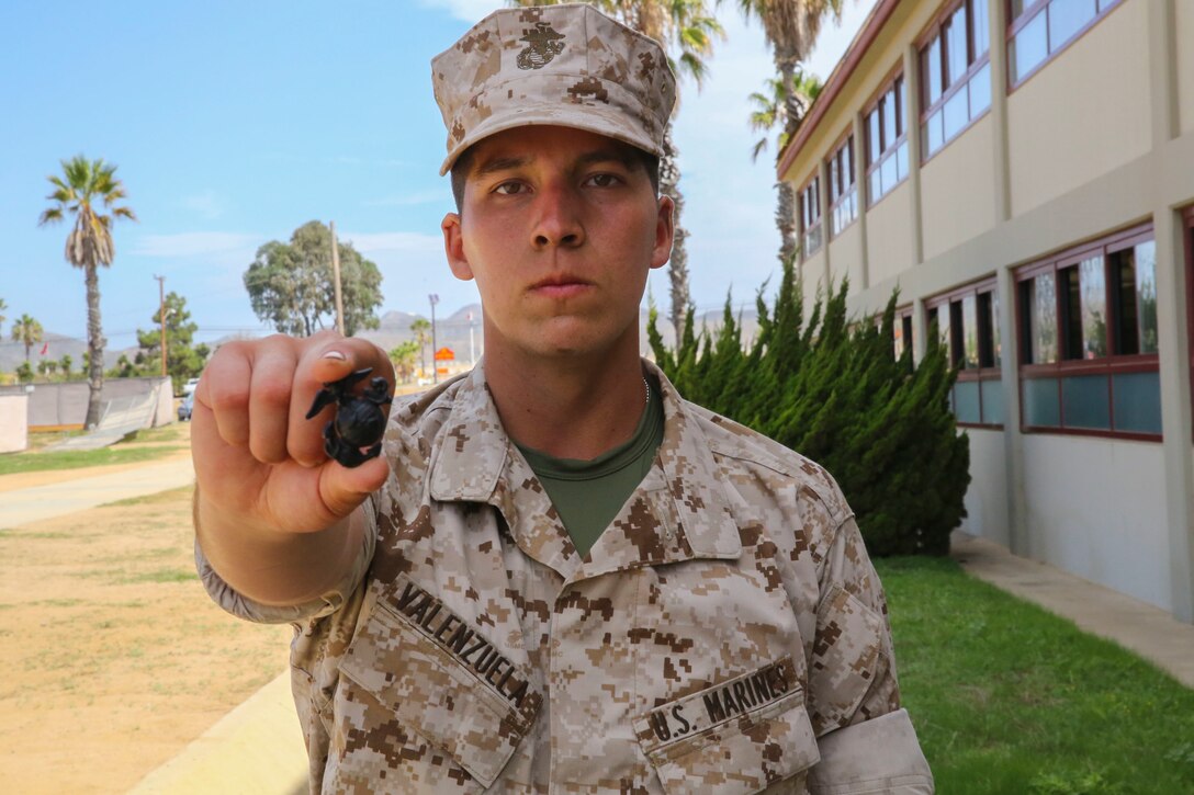 Pfc. Juan Valenzuela, Fox Company, 2nd Recruit Training Battalion, holds his Eagle, Globe and Anchor upon completion of the Crucible at Edson Range, Marine Corps Base Camp Pendleton, Calif., Oct. 1, 2015. DoD Photo by Lance Cpl. Angelica Annastas