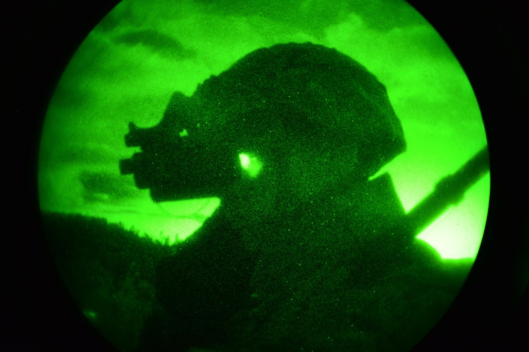 As seen through a night-vision device, A U.S. paratrooper observes the area during a night live-fire exercise as part of Exercise Rock Proof V at Pocek Range in Postonja, Slovenia, Oct.19, 2015. U.S. Army photo by Davide Dalla Massara