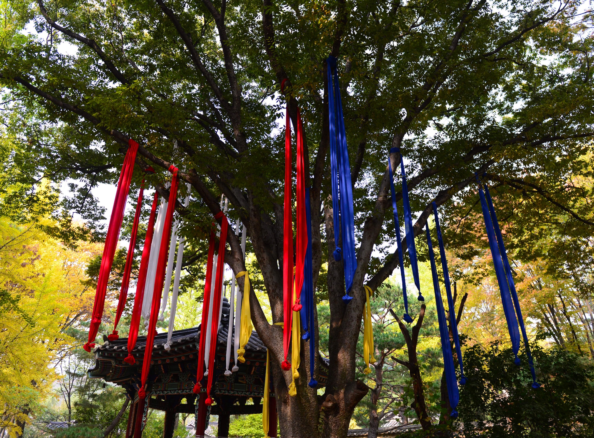 Colored streamers fill a tree next to a shrine at the Korean Folk Village in Yongin, Republic of Korea, Oct. 16, 2015. In the Korean culture the five colors represent north, south, east, west and center. 
(U.S. Air Force photo/Staff Sgt. Amber Grimm)