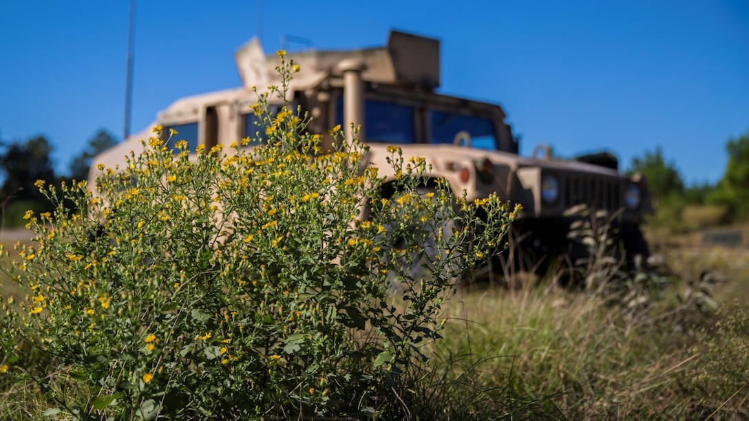 Marines with 3rd Battalion, 6th Marine Regiment set up security during a training exercise at Marine Corps Base Camp Lejeune, N.C., Oct. 20, 2015. The company executed lane training where the Marines visited four stations set up to hone in their basic infantry skills. The four stations consisted of patrolling, radio communications, grenade employment and emplacing M18 Claymores.