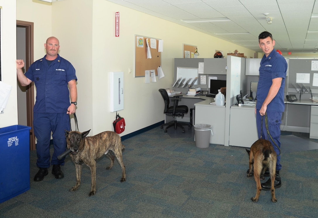 Maritime Safety and Security Team Kings Bay’s Military Working Dogs and handlers participate as one of several mutual aids partners assisting the Mission Assurance Branch’s emergency operations team during a full-scale exercise. The team’s K-9 Unit alerted the handlers after detecting a bomb during a simulated threat held at Marine Corps Support Facility Blount Island, Jacksonville, Fla., recently.

