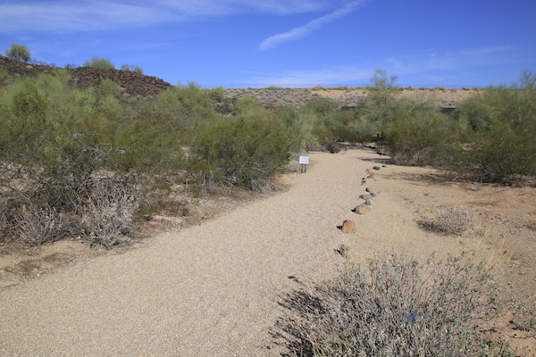 Adobe Dam and the Arizona Canal Diversion Channel built in the 1980s have done much to protect historic sites and metropolitan Phoenix. The dam in northwest metro was built near Skunk Creek and the Hedgpeth Hills. It is the present day home of Arizona State University’s Deer Valley Petroglyph Preserve with art work dating from 700 years ago to roughly 7000 B.C.