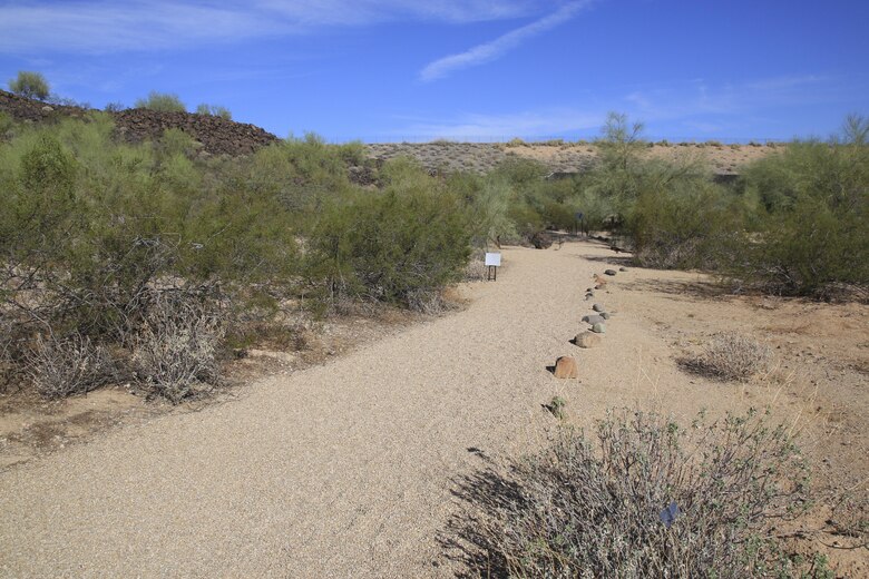 Adobe Dam and the Arizona Canal Diversion Channel built in the 1980s have done much to protect historic sites and metropolitan Phoenix. The dam in northwest metro was built near Skunk Creek and the Hedgpeth Hills. It is the present day home of Arizona State University’s Deer Valley Petroglyph Preserve with art work dating from 700 years ago to roughly 7000 B.C.