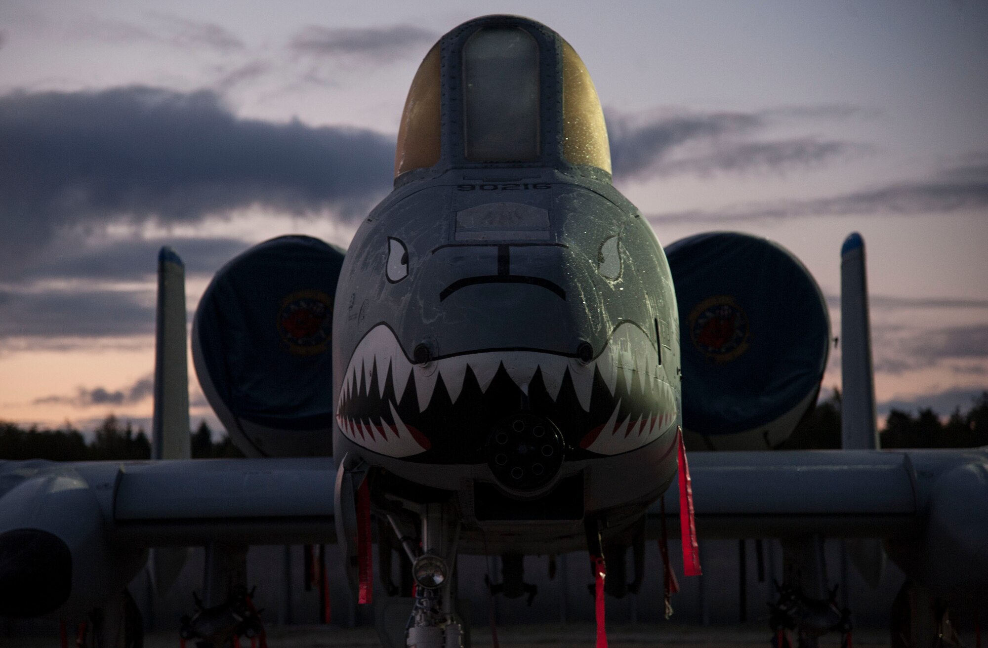 Ice covers the cockpit of a 74th Expeditionary Fighter Squadron A-10 Thunderbolt II attack aircraft assigned to the 23d Wing at Moody Air Force Base, Georgia, on the flightline at Amari Air Base, Estonia, Oct. 8, 2015. Ice on the wing or rear tail component of an aircraft can disrupt the airflow, making it difficult to fly and potentially diminishing fuel economy. (U.S. Air Force photo by Andrea Jenkins/Released)