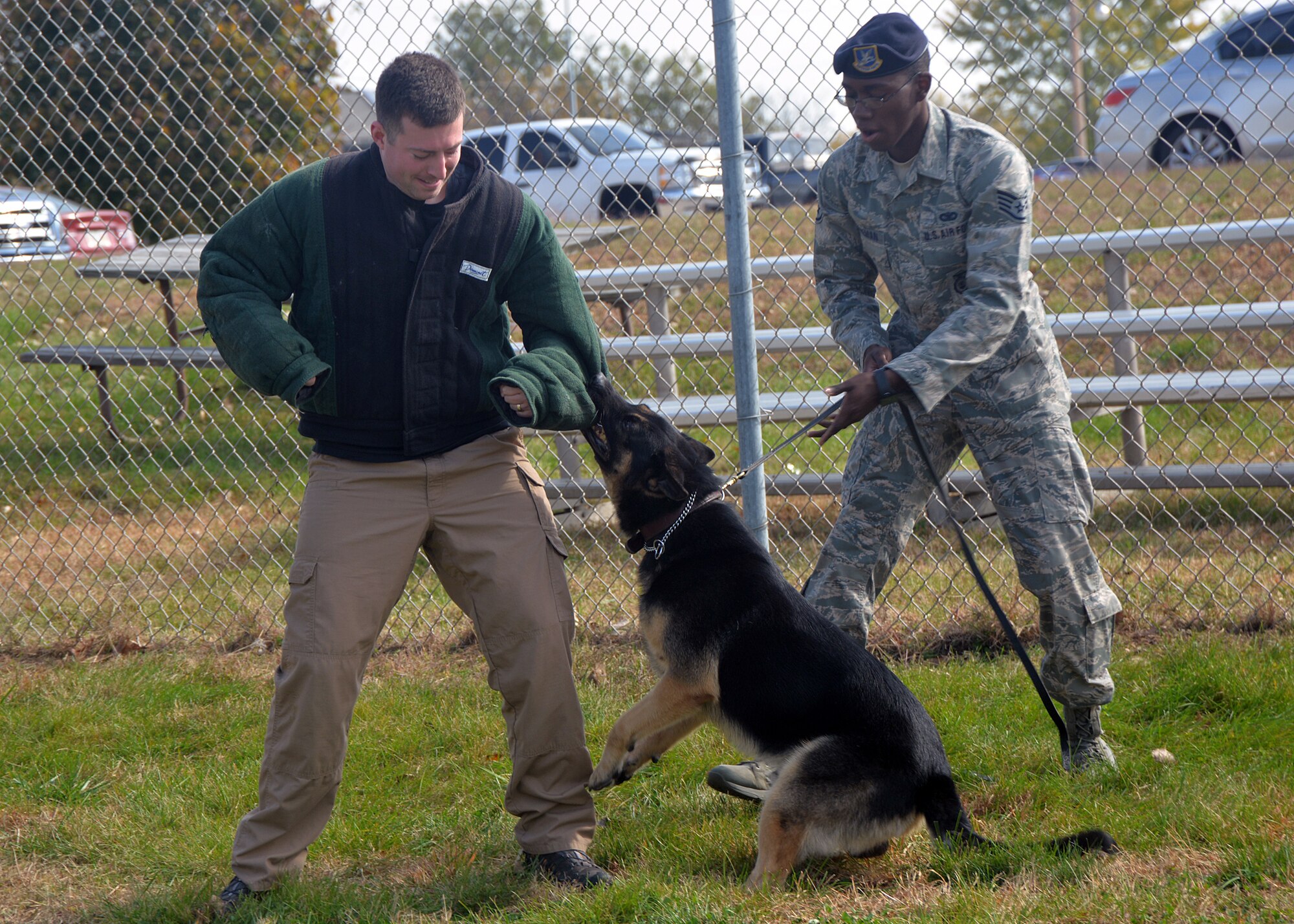 Military Working Dog Rocky bites simulated assailant, Senior Airman David Bafaro, 55th Security Forces Squadron MWD handler, as Staff Sgt. Elbert Foreman, 55th SFS MWD handler holds his leash, Oct. 21 at the 55th SFS MWD training facility. MWD Rocky is a fully certified, trained and validated explosive detector dog valued at nearly $25,000. (U.S. Air Force photo by Kendra Williams/Released)