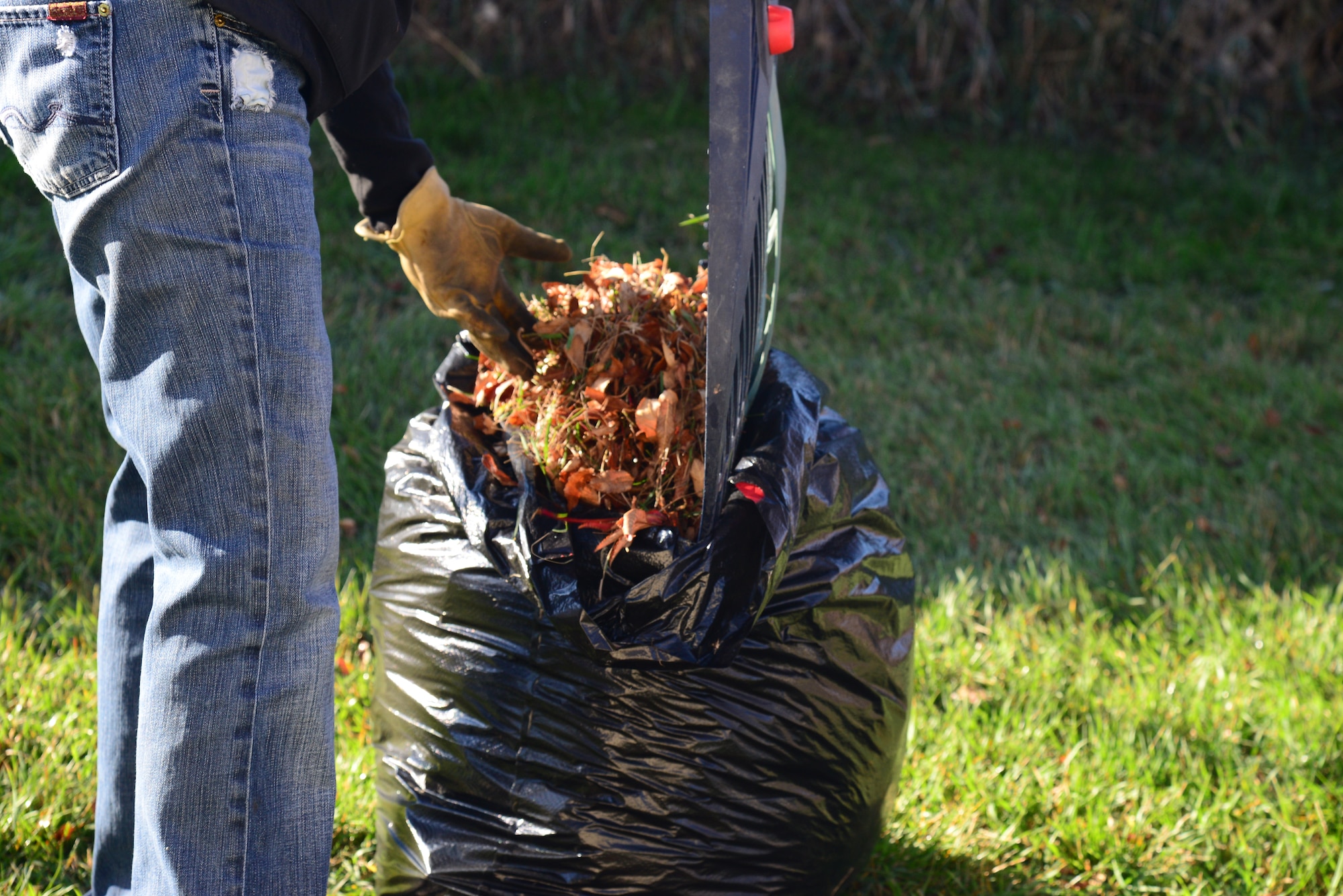 Airmen from Malmstrom Air Force Base and federal employees gathered for the Day of Caring, Oct. 23, 2015, in the Great Falls, Mont., community. The Day of Caring is an annual volunteer opportunity for individuals to help local community members with household chores, such as raking leaves, washing windows, trimming trees and changing lightbulbs. (U.S. Air Force photo/Airman 1st Class Magen M. Reeves)