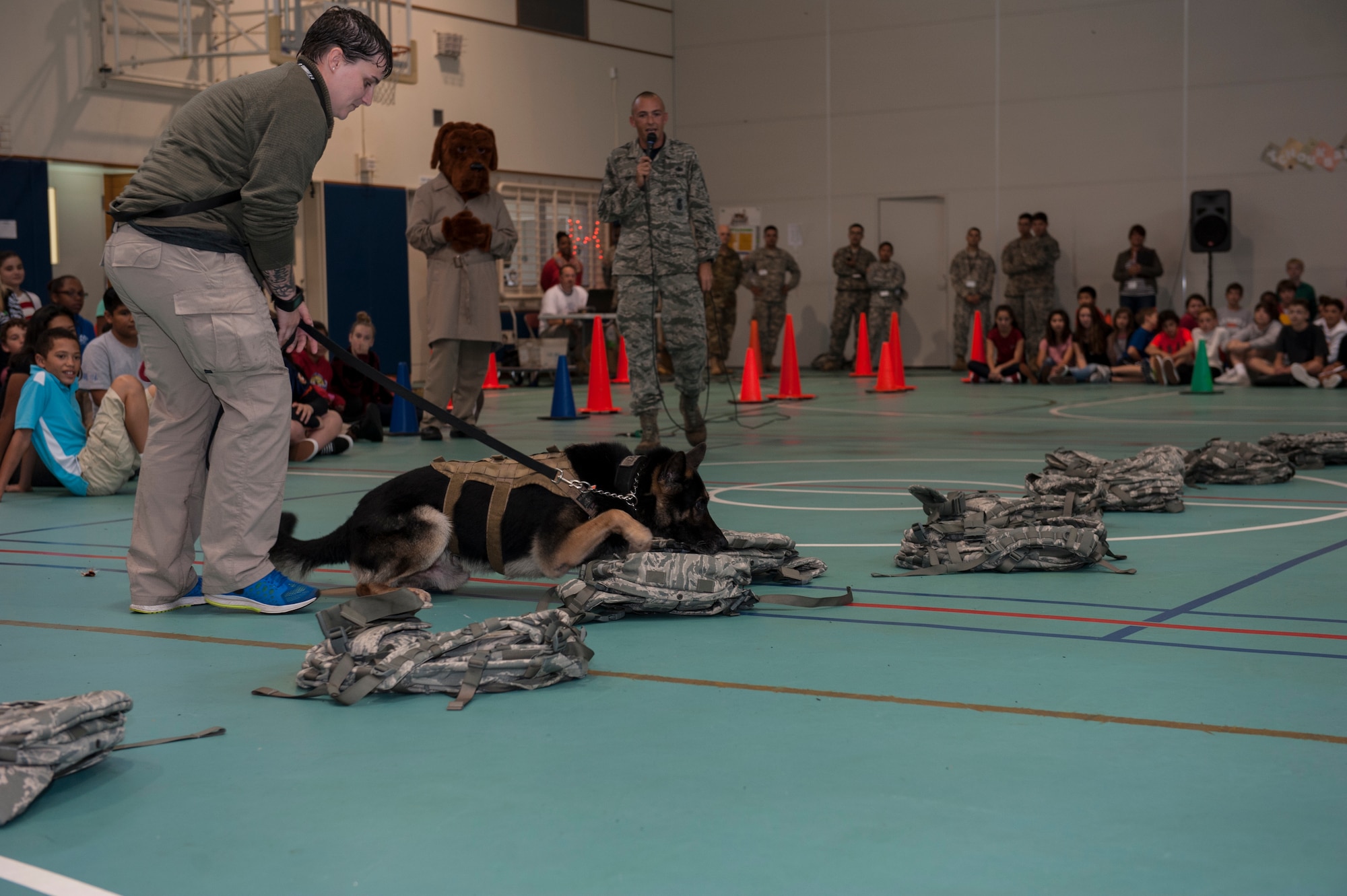 Rob, an 18th Security Forces Squadron military working dog, finds a training aid hidden inside a bag during the Red Ribbon Week kickoff rally at Ryukyu and Kadena Middle School Oct. 23, 2015, on Kadena Air Base, Japan. The 18th Security Forces Squadron held a MWD demonstration to show how well trained their MWDs are at finding drugs and to explain the importance of avoiding illegal substances. (U.S. Air Force photo by Airman 1st Class Lynette M. Rolen)