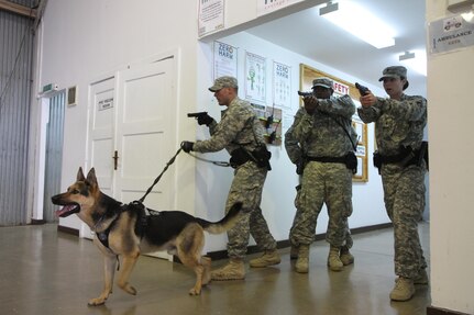 U.S. Army Reserve Military Police Soldiers from the 363rd Military Police Company out of Grafton, W.V., participate in a building-clearance exercise alongside U.S. Army military working dogs and handlers, Sept. 30, 2015, on Camp Bondsteel, Kosovo. The U.S. Soldiers are currently deployed to Kosovo with Multinational Battle Group-East, part of NATO’s KFOR peace support mission. The day’s training was conducted to ensure the military police teams are familiar with military working dog procedures while responding to active-shooter or explosive ordnance situations. (U.S. Army photo by Sgt. Erick Yates, Multinational Battle Group-East)