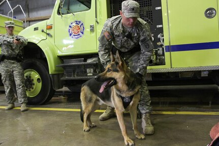 U.S. Army Reserve Spc. Christopher Boatwright, a military police Soldier with the 363rd Military Police Company out of Grafton, W.V., stands ready with Staff Sgt. Lex, a military working dog, during a building-clearance exercise Sept. 30, 2015, on Camp Bondsteel, Kosovo. Boatwright’s unit is currently deployed to Kosovo with Multinational Battle Group-East, part of NATO’s KFOR peace support mission. The day’s training was conducted to ensure the military police teams are familiar with military working dog procedures while responding to active-shooter or explosive ordnance situations. (U.S. Army photo by Sgt. Erick Yates, Multinational Battle Group-East)