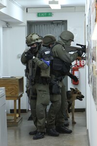 Austrian soldiers assigned to the Kosovo Force International Military Police conduct building-clearance training alongside U.S. Army Military Police Soldiers, as well as military working dogs and handlers, Sept. 30, 2015, on Camp Bondsteel, Kosovo. The U.S. soldiers are currently deployed to Kosovo with Multinational Battle Group-East, part of NATO’s KFOR peace support mission. The day’s training was conducted to ensure the military police teams are familiar with military working dog procedures while responding to active-shooter or explosive ordnance situations. (U.S. Army photo by Sgt. Erick Yates, Multinational Battle Group-East)