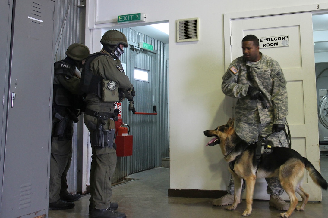 U.S. Army Sgt. Earl Thomas, a military working dog handler from the 525th Military Working Dog Detachment out of Wiesbaden, Germany, participates in a building-clearance exercise with Staff Sgt. Lex, his partner military working dog, and Austrian soldiers from the Kosovo Force International Military Police, Sept. 30, 2015, on Camp Bondsteel, Kosovo. Thomas, Lex, and their military police partners from the 363rd Military Police Company are currently deployed to Kosovo with Multinational Battle Group-East, part of NATO’s KFOR peace support mission. The day’s training was conducted to ensure the military police teams are familiar with military working dog procedures while responding to active-shooter or explosive ordnance situations. (U.S. Army photo by Sgt. Erick Yates, Multinational Battle Group-East)