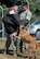 A military working dog team with the 96th Security Forces Squadron simulates an apprehension at the kennels Oct. 23 at Eglin Air Force Base, Fla. Eglin’s military working dog teams' mission is to maintain training, conduct vehicle searches, base patrols, building sweeps and dormitory checks. They also deploy with other units and services due to their special skill sets. (U.S. Air Force photo/Ilka Cole)