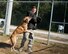 Roy, a Belgian Malinois military working dog, with the 96th Security Forces Squadron bites Senior Airman Chase Shankle, 96th SFS, during an apprehension technique demonstration at the kennels Oct. 23 at Eglin Air Force Base, Fla. Eglin’s military working dog teams maintain training, conduct vehicle searches, base patrols, building sweeps and dormitory checks. They also deploy with other units and services due to their special skill sets. (U.S. Air Force photo/Ilka Cole)