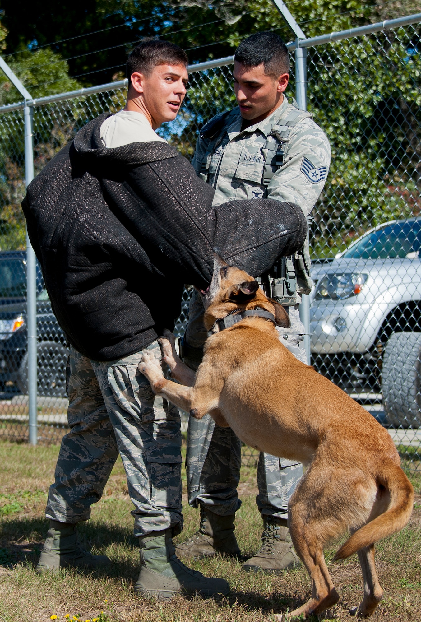 A military working dog team with the 96th Security Forces Squadron simulates an apprehension at the kennels Oct. 23 at Eglin Air Force Base, Fla. Eglin’s military working dog teams' mission is to maintain training, conduct vehicle searches, base patrols, building sweeps and dormitory checks. They also deploy with other units and services due to their special skill sets. (U.S. Air Force photo/Ilka Cole)