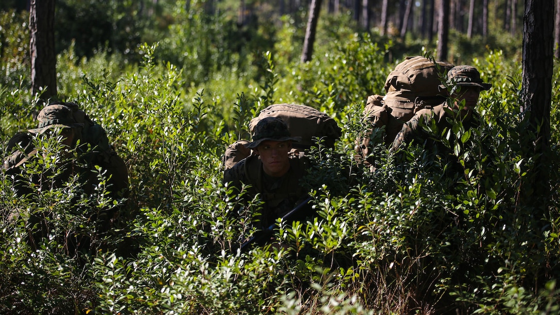 Marine candidates with 2nd Battalion, 8th Marine Regiment, halt during a patrol as part of the Scout Sniper Platoon screening at Marine Corps Base Camp Lejeune, North Carolina, Oct. 23, 2015. The exercise required candidates to move to an extraction point while evading the enemy. 