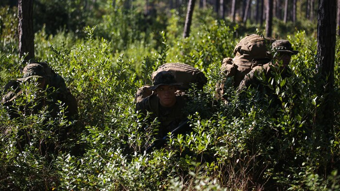 Marine candidates with 2nd Battalion, 8th Marine Regiment, halt during a patrol as part of the Scout Sniper Platoon screening at Marine Corps Base Camp Lejeune, North Carolina, Oct. 23, 2015. The exercise required candidates to move to an extraction point while evading the enemy. 