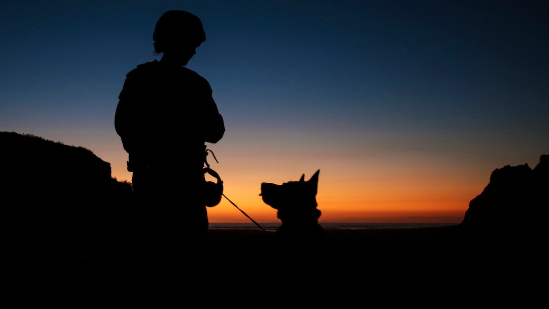 Orlando, Fla., native Cpl. Suzette Clemans, a military working dog handler with 1st Law Enforcement Battalion, I Marine Expeditionary Force, and Denny, her Belgian Malinois patrol explosive detection dog, prepare to search for explosives on the beach aboard Marine Corps Base Camp Pendleton, Calif., Oct. 21, 2015. Exposing dog teams to working with different equipment and scenarios enhances their skills across a range of secuirty threats in support of Marine Air Ground Task Force operations. (U.S. Marine Corps photo by Lance Cpl. Caitlin Bevel)