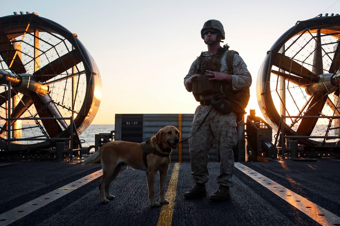 Hebron, Ky., native Sgt. Paul Johnson, a military working dog handler with 1st Law Enforcement Battalion, I Marine Expeditionary Force, and Rumor, his Labrador Retriever specialized search dog, explore the deck of a Landing Craft Air Cushion before searching for explosives on the beach aboard Marine Corps Base Camp Pendleton, Calif., Oct. 21, 2015. Exposing dog teams to working with different equipment and scenarios enhances their skills across a range of secuirty threats in support of Marine Air Ground Task Force operations. (U.S. Marine Corps photo by Lance Cpl. Caitlin Bevel)