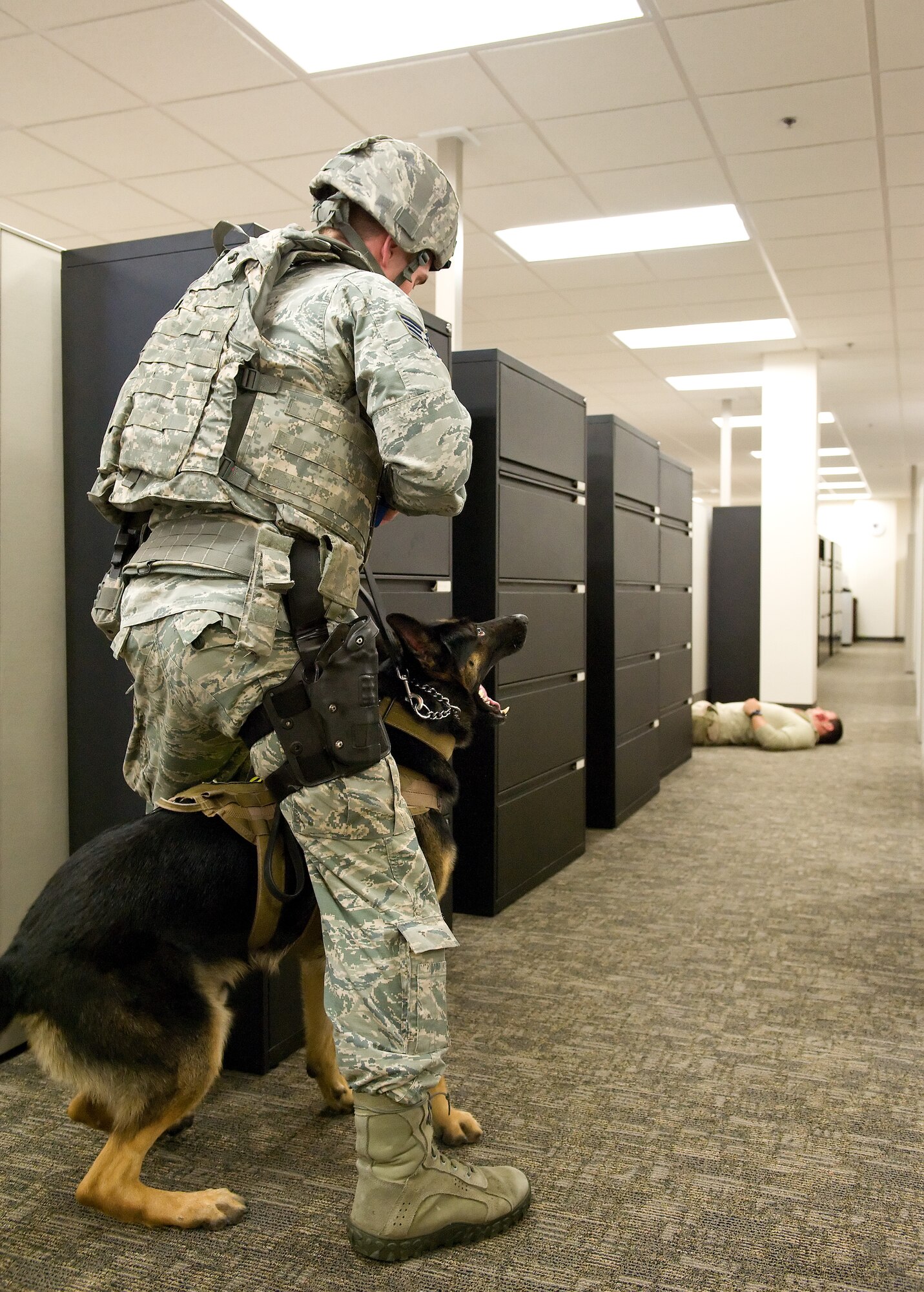 Staff Sgt. Craig Eveland, 436th Security Forces Squadron military working dog handler and MWD Ramos locate a simulated active shooter victim during a major accident response exercise Oct. 20, 2015, on Dover Air Force Base, Del. Eveland, MWD Ramos and other 436th SFS response force personnel searched Contracting Squadron offices for personnel hiding, possible hostages, simulated dead and injured, as well as other potential active shooters located in building 639. (U.S. Air Force photo/Roland Balik)