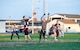 Adam Paini, 436th Security Force Squadron quarterback, attempts a pass to one of his receivers downfield Oct. 26, 2015, on Dover Air Force Base, Del. Brandon Clayton, 436th Logistics Readiness Squadron defensive lineman, tries to block Paini's pass in the Dover AFB intramural flag football game. (U.S. Air Force photo/Roland Balik)