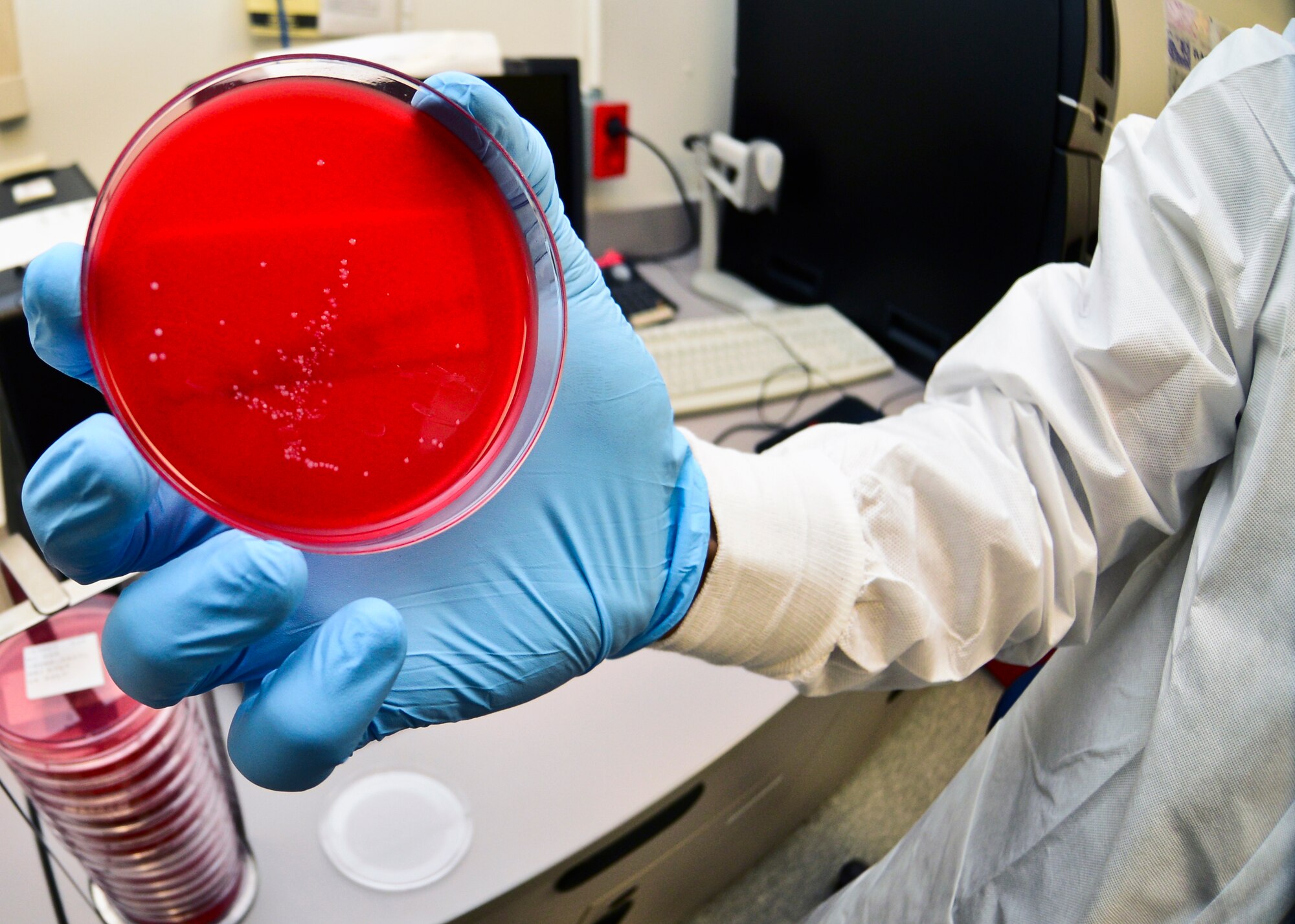 An Air Force laboratory technician holds up a blood culture sample that was placed in a controlled environment in the laboratory at Osan Air Base, Republic of Korea, Oct. 22, 2015. The heated, controlled environment allows bacteria in the culture to react and grow more quickly, which speeds up the time it takes lab technicians to determine the bacterial strain. (U.S. Air Force photo/Tech. Sgt. Travis Edwards)