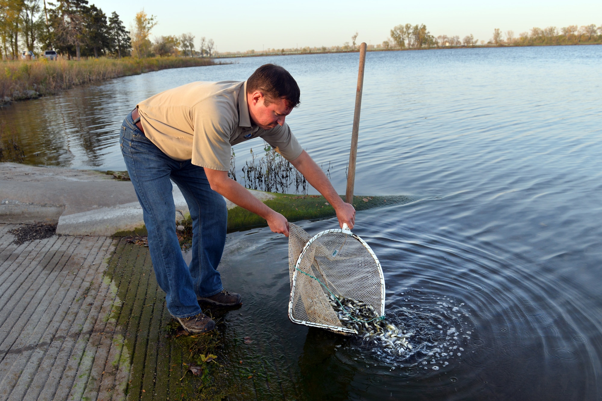 Dan James, U.S. Fish and Wildlife Service fish and wildlife biologist, releases redear sunfish into the Base Lake on Offutt Air Force Base, Neb., Oct. 19. Roughly 10,000 of the fish from the Valentine State Fish Hatchery were transferred to the lake in hopes that they will serve as a potential management tool for zebra mussels, who were accidently introduced to the lake back in 2006.. (U.S. Air Force photo by Josh Plueger/Released)