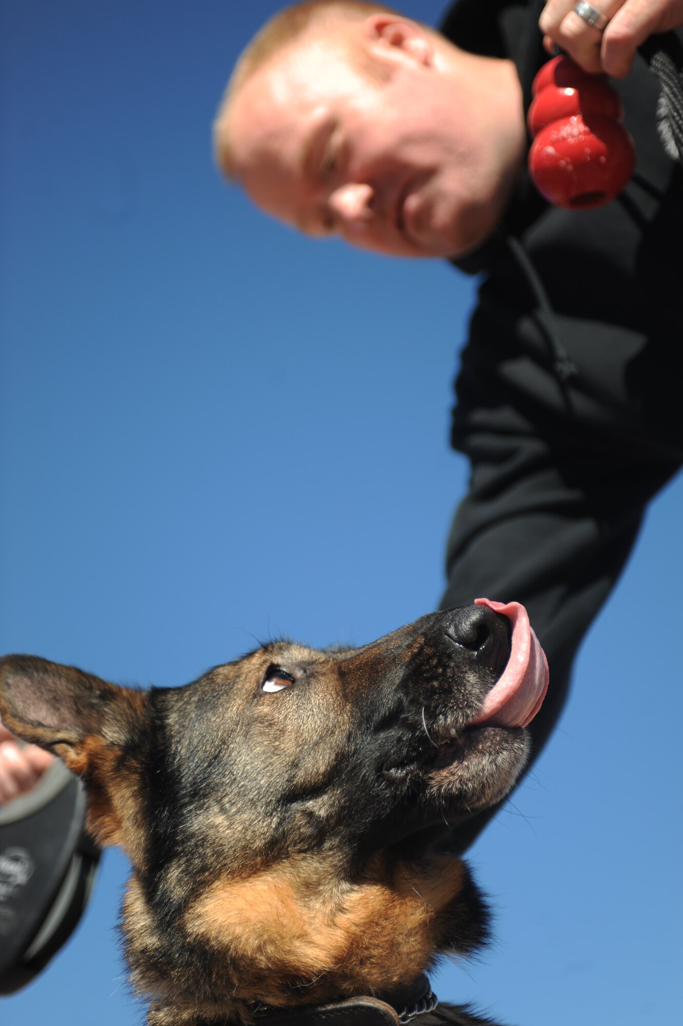 Staff Sgt. Timothy Kisner, 28th Security Forces Squadron military working dog handler, rewards Tali, 28th SFS MWD, with a chew toy for detecting explosive odors at Ellsworth Air Force Base, S.D., Oct. 15, 2015. Following successful detections, MWDs are often rewarded with toys and verbal praises. (U.S. Air Force photo by Airman Sadie Colbert/Released)