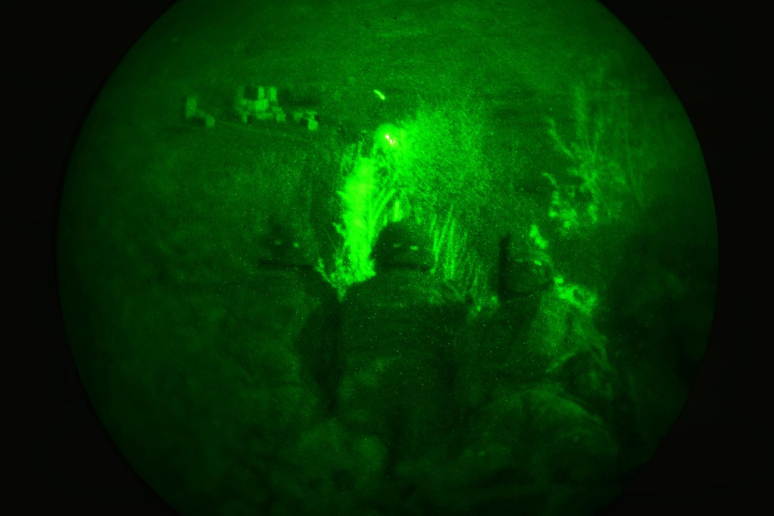 As seen through a night-vision device, U.S. paratroopers engage targets during a night live-fire exercise as part of Exercise Rock Proof V at Pocek Range in Postojna, Slovenia, Oct. 20, 2015. U.S. Army photo by Davide Dalla Massara