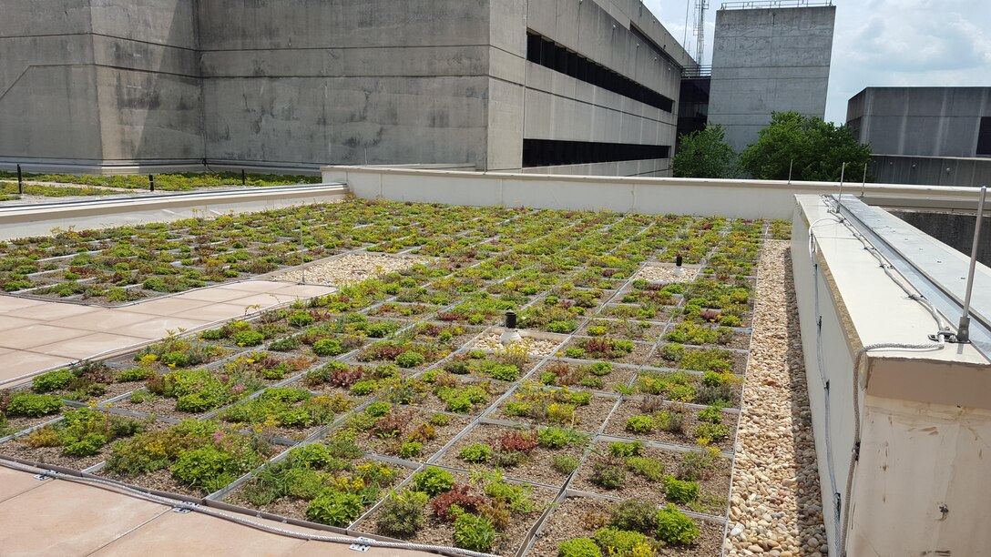 A green roof with native plants that require minimal or no irrigation was included in the project to meet LEED standards.