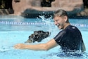 Staff Sgt. Jenings Casey, a 6th Security Forces Squadron military working dog handler, and military working dog Branco splash in a wave pool after a water aggression training exercise at a water park in Tampa, Fla., Oct. 15, 2015. The water aggression training offers a unique opportunity for working dogs to become familiar with water. (U.S. Air Force photo/Airman 1st Class Mariette M. Adams)