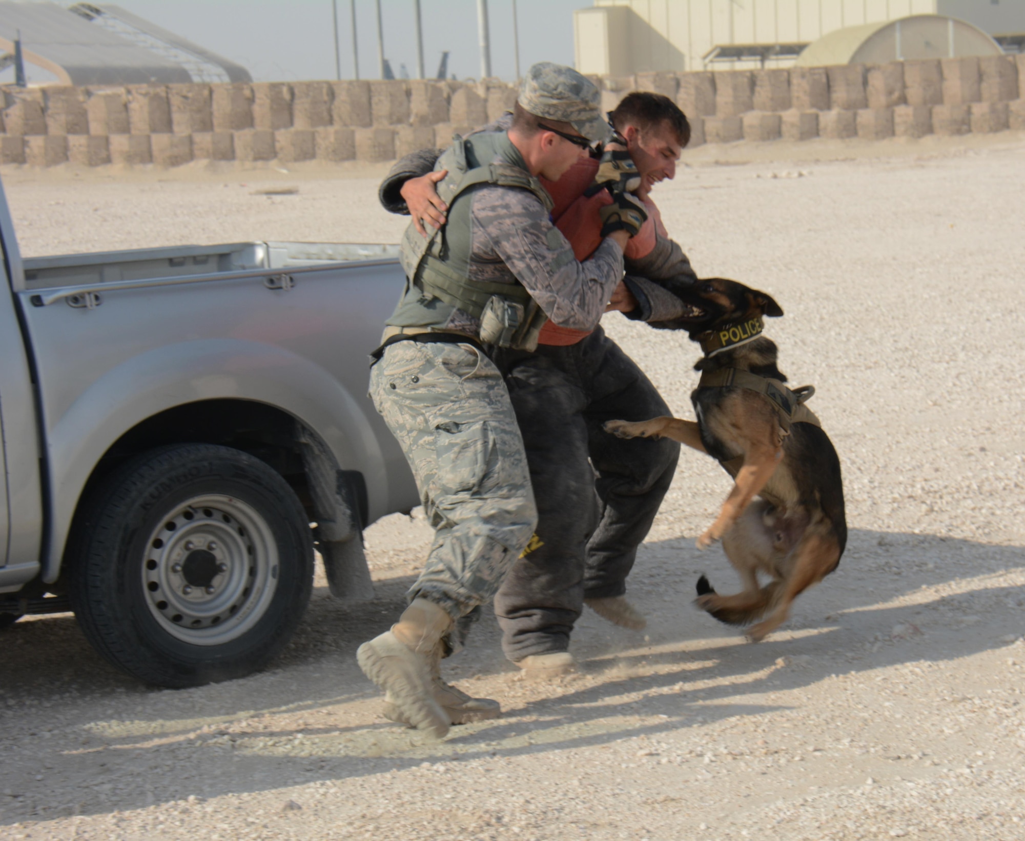 A military working dog and his handler, both assigned to the 379th Expeditionary Security Forces Squadron, take a subject to the ground during an interagency training exercise at Al Udeid Air Base, Qatar Oct. 27. The exercise featured professionals from three 379th Air Expeditionary Wing units including explosive ordnance technicians, security forces patrolmen and firefighters. (U.S. Air Force photo by Tech. Sgt. James Hodgman)